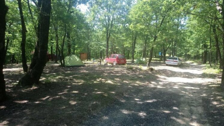 Camping Gorizont - Photo5