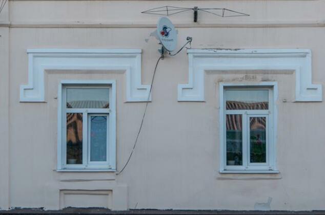 Basilik Chaplygin - Photo2