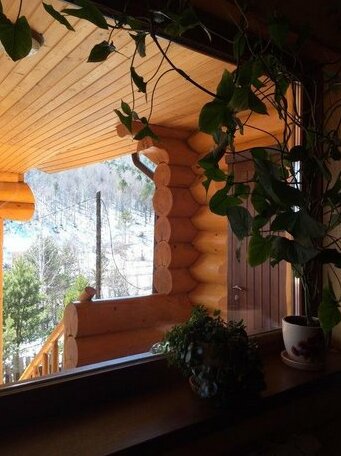 Guesthouse Alpijskij - Photo4