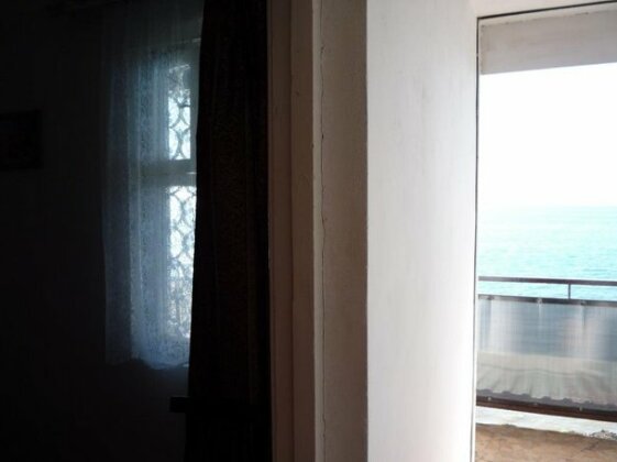 Delphin - Photo5