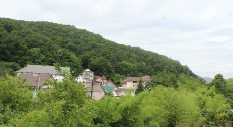 Guest House Nadezhda Loo - Photo2