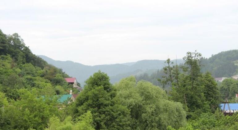 Guest House Nadezhda Loo - Photo3