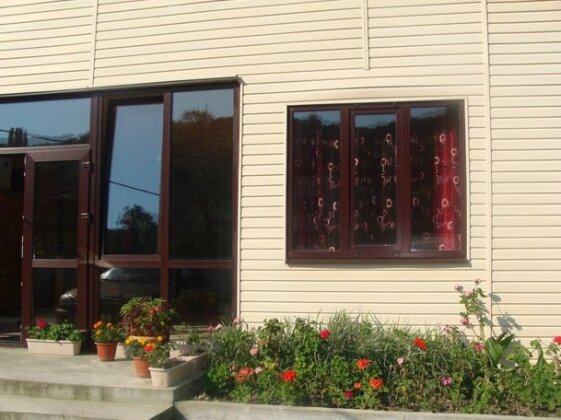 U Alika i Iriny Guest House - Photo2