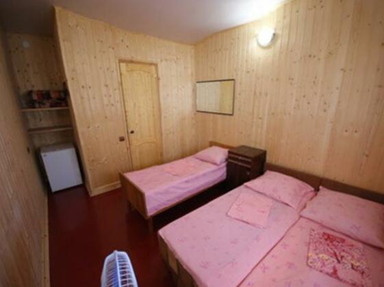 Viktoriya Guest House Loo - Photo2