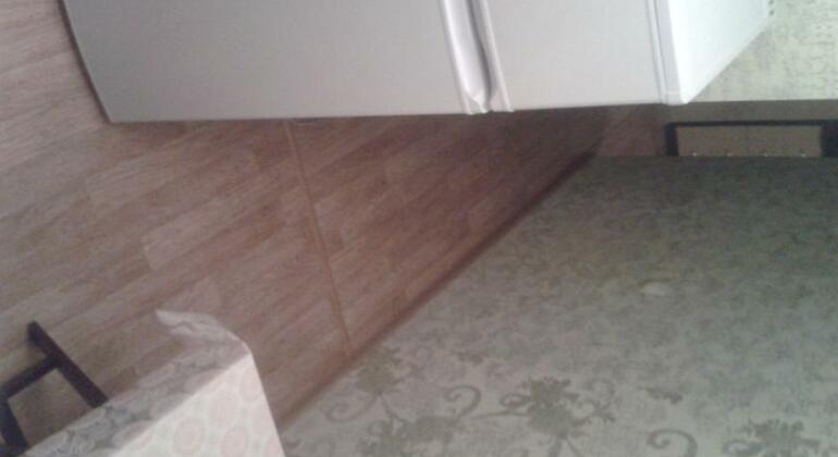 Apartment Zelenyy Log - Photo4