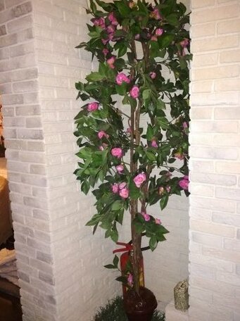 Besedka Hotel - Photo3