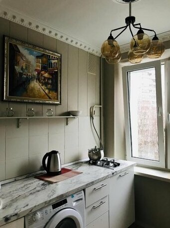 Black Swan House Moscow - Photo5