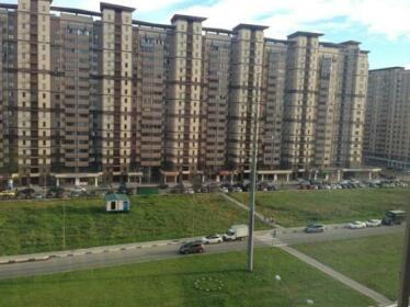 Borodinskaya Apartments