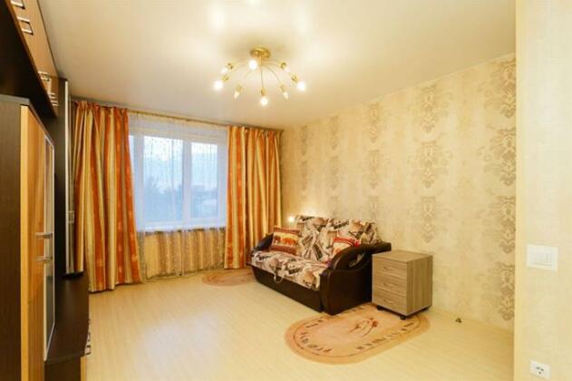 Busines Brusnika Apartment Tsaritsyno - Photo4