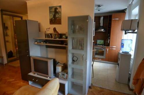 City Inn Apartment on Novaya Bashilovka - Photo2
