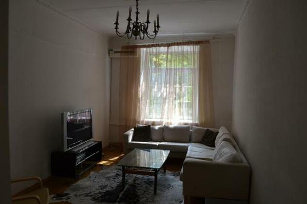 City Inn Novaya Basholovka Apartments - Photo5