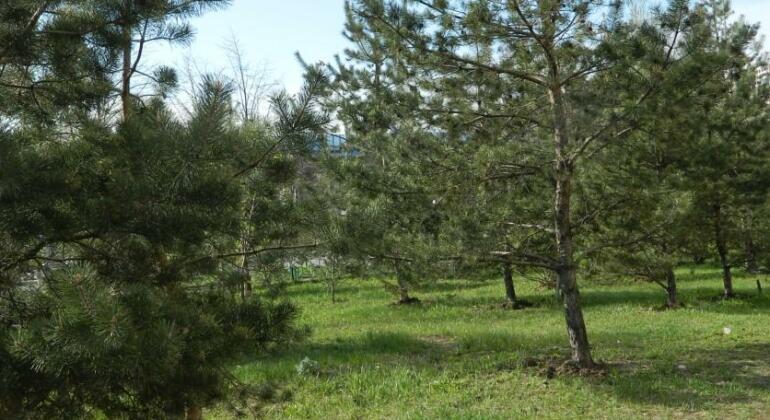 DearHome Pronskaya - Photo2