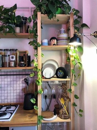 Garden under the roof - Photo5