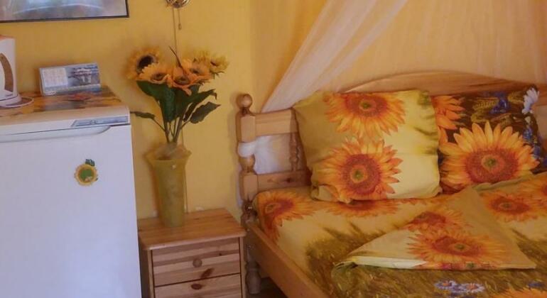 Guesthouse Anastasia Moscow - Photo3