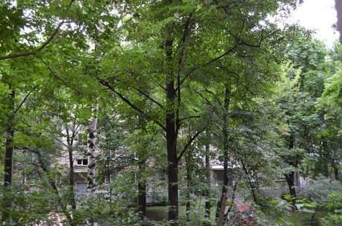 Hero-City in Sokolniki - Photo3