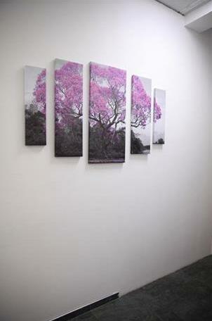 Home Slava White - Photo5