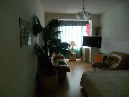 New Kovcheg Apartments 1 - Photo4