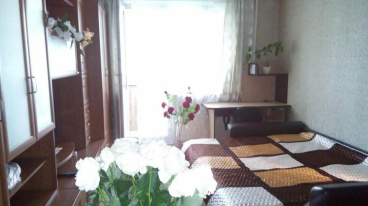 One-Bedroom Apart on Lermontova - Photo3