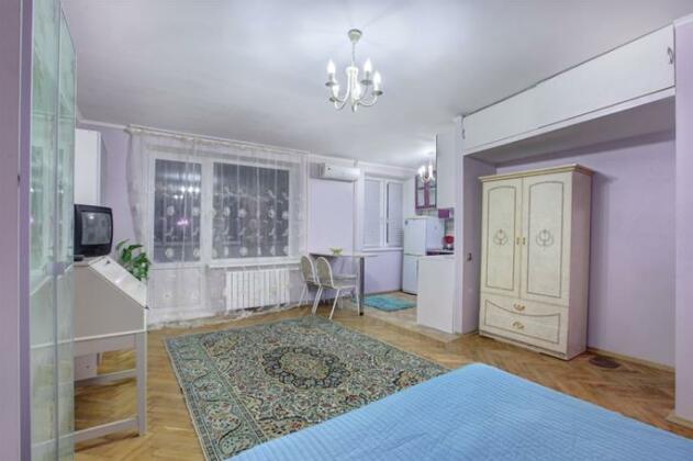 Studiya U Metro Novyie Cheremushki Apartments - Photo4
