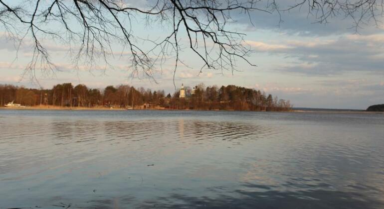 Cottage in Zarechye - Photo3