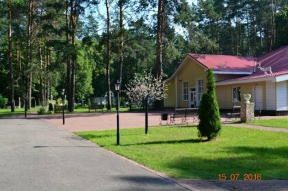 Guest House Sosnovyi Bor