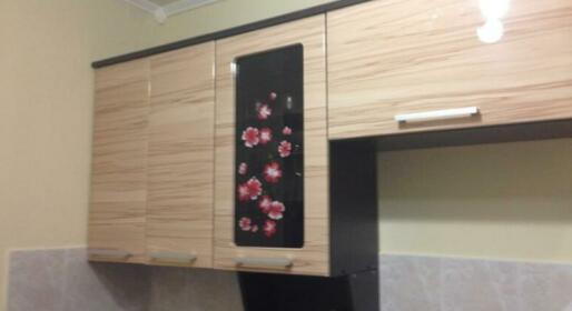 Apartment Gogolya Novosibirsk