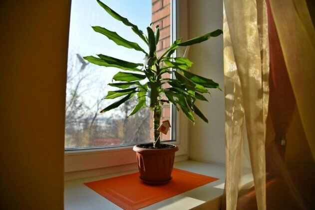 Hostel Apostol - Photo3