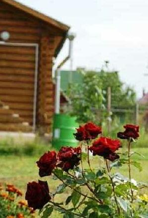 Siberian Navigation - Photo5