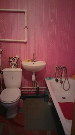 V Gostyah U Alisyi Apartments - Photo5