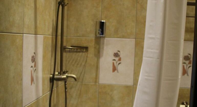India Hotel ETHNOMIR - Photo5