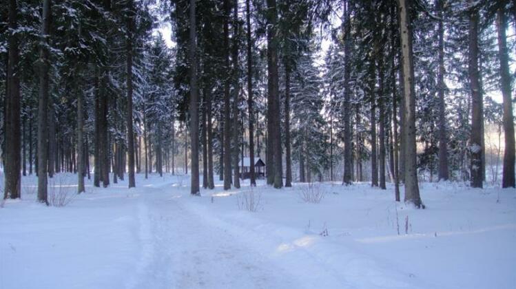 Park-Hotel Vorobi - Photo3