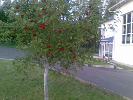 Park-Hotel Vorobi - Photo5