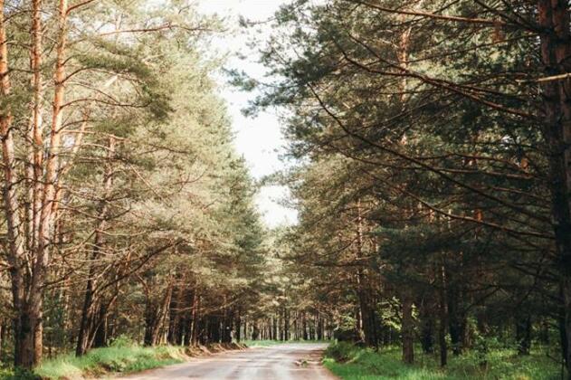 Pine River Country Hotel - Photo3