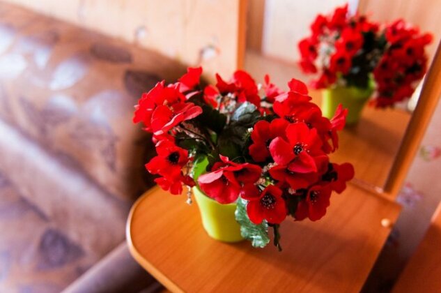 Mishel Hotel Omsk - Photo3