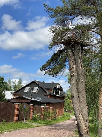 Guest house on Naberezhnaya - Photo4