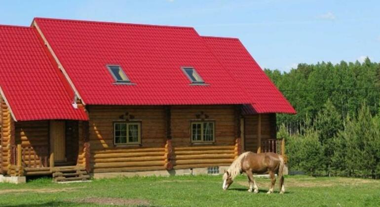 Guest House Konstantinova Usadba - Photo5