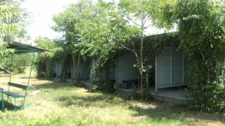 Leto Holiday Park - Photo3
