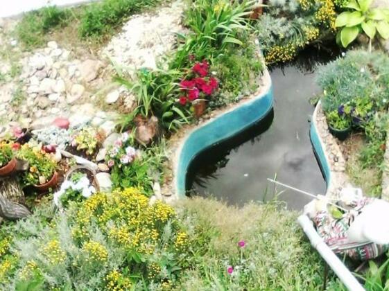 U Treh Morej Guest House - Photo5
