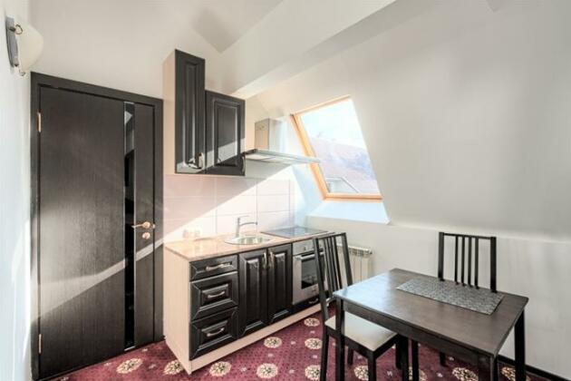 Zamok Znamenka Apartmens - Photo4