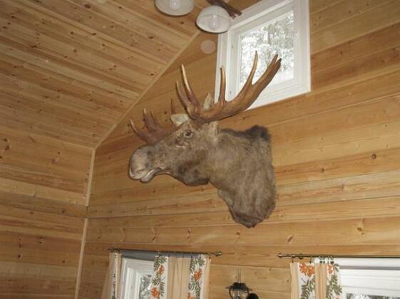 Hirvi Lodge - Photo4