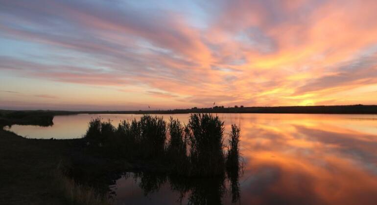 Grand Royal Island - Photo2