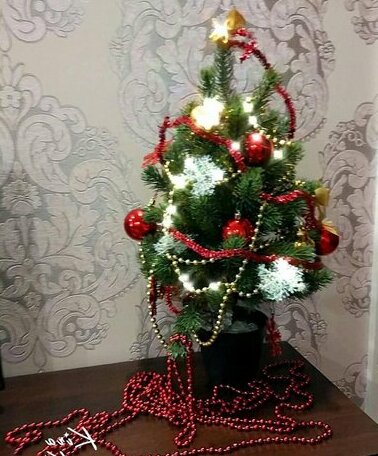 Apartment Svoi on Oranzhereynaya - Photo5