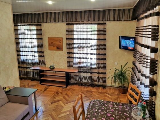 Na Anisimova Apartments - Photo2