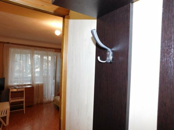 Na Ploshadi Lenina 8-1 Apartments - Photo5