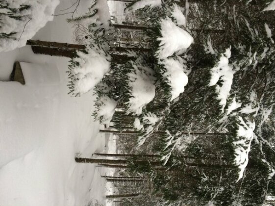 Kottedg Lebed Guest House - Photo5