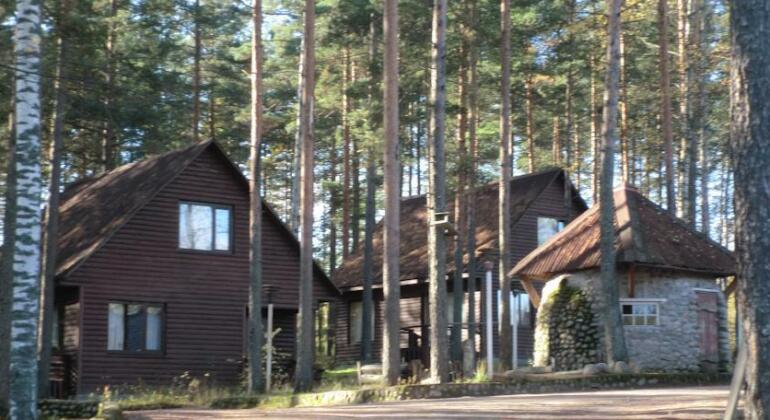 Wigwam Motel Baltic Sea - Photo2