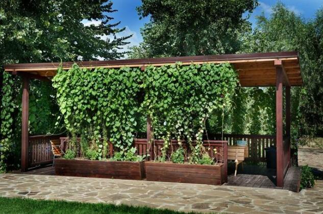 Malinka Guest House - Photo3