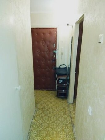 Na Novo Sadovoj Apartments - Photo2