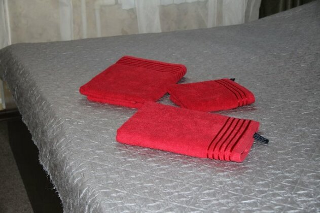 Niagara Hotel Samara - Photo5