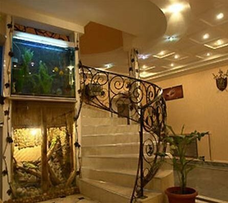 Oasis Hotel Samara - Photo3